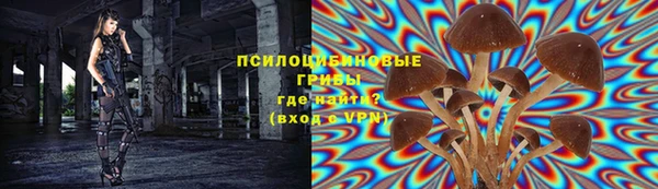 спиды Абинск
