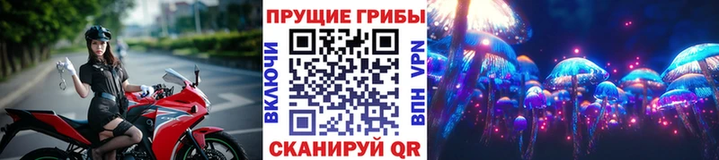 Псилоцибиновые грибы Psilocybe наркошоп Кизилюрт