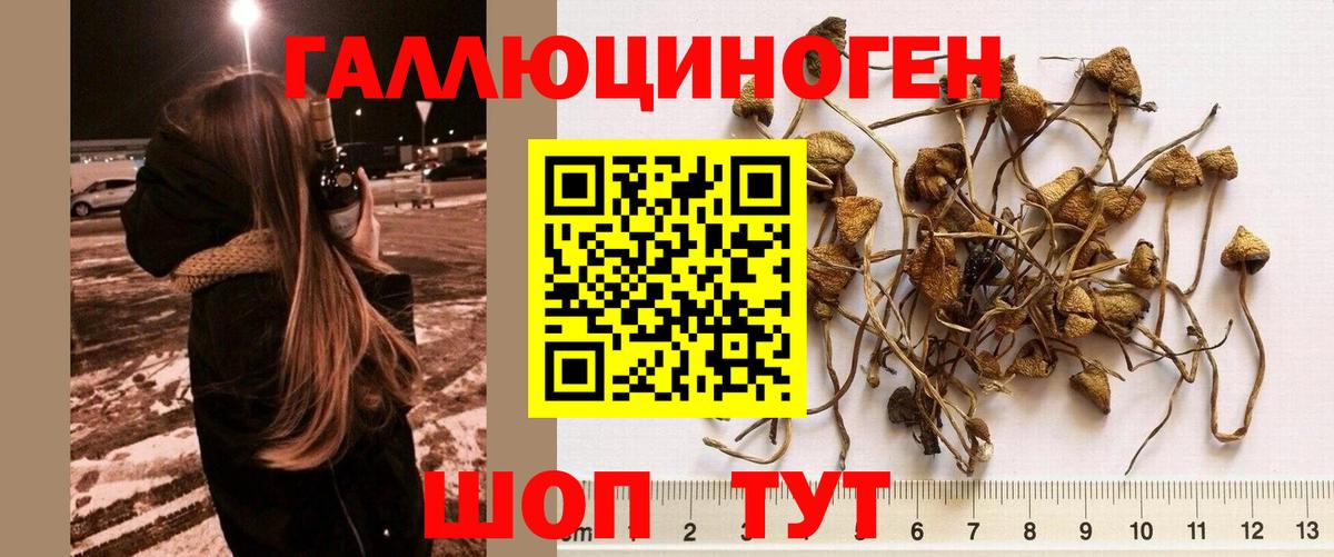 Кизилюрт  Псилоцибиновые грибы ЛСД  купить   Галлюциногенные грибы MAGIC MUSHROOMS  Вход с VPN 