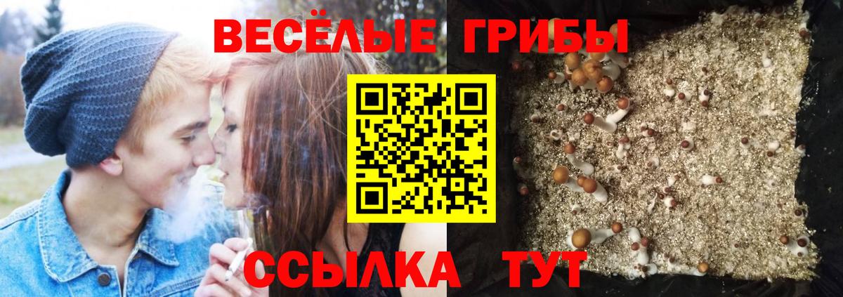 Галлюциногенные грибы прущие грибы Кизилюрт