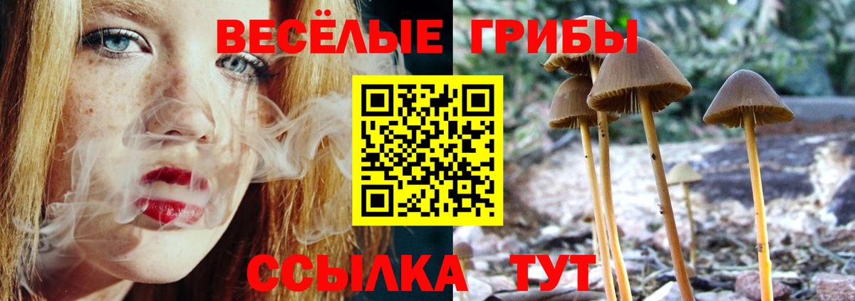 МАРИХУАНА  Вход с VPN  Cocaine  МЕФ  ТГК  Экстази  ГАШИШ  Кизилюрт  МДМА  МЕФ кристаллы  ГАШ 