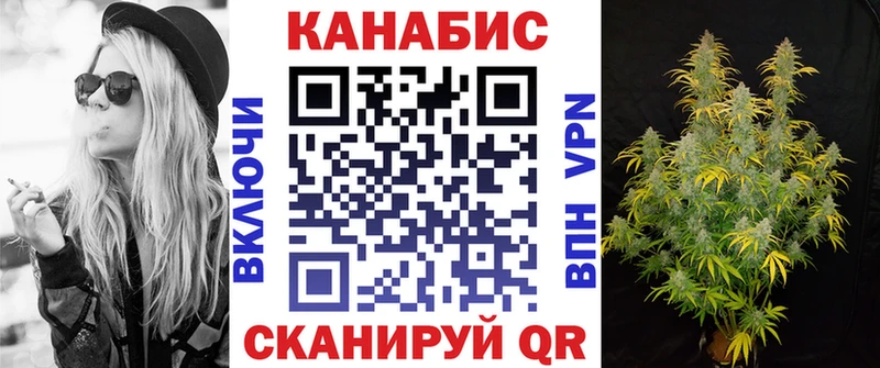 Бошки Шишки план  Кизилюрт 
