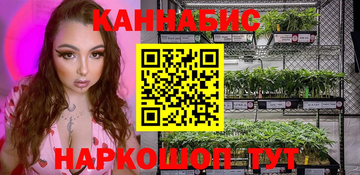 Шишки марихуана семена  Бошки марихуана планчик  Конопля THC 21%  Вход с VPN  Конопля сатива  Кизилюрт 